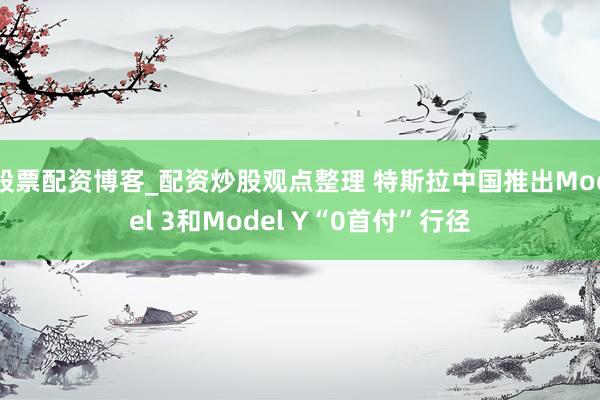 股票配资博客_配资炒股观点整理 特斯拉中国推出Model 3和Model Y“0首付”行径